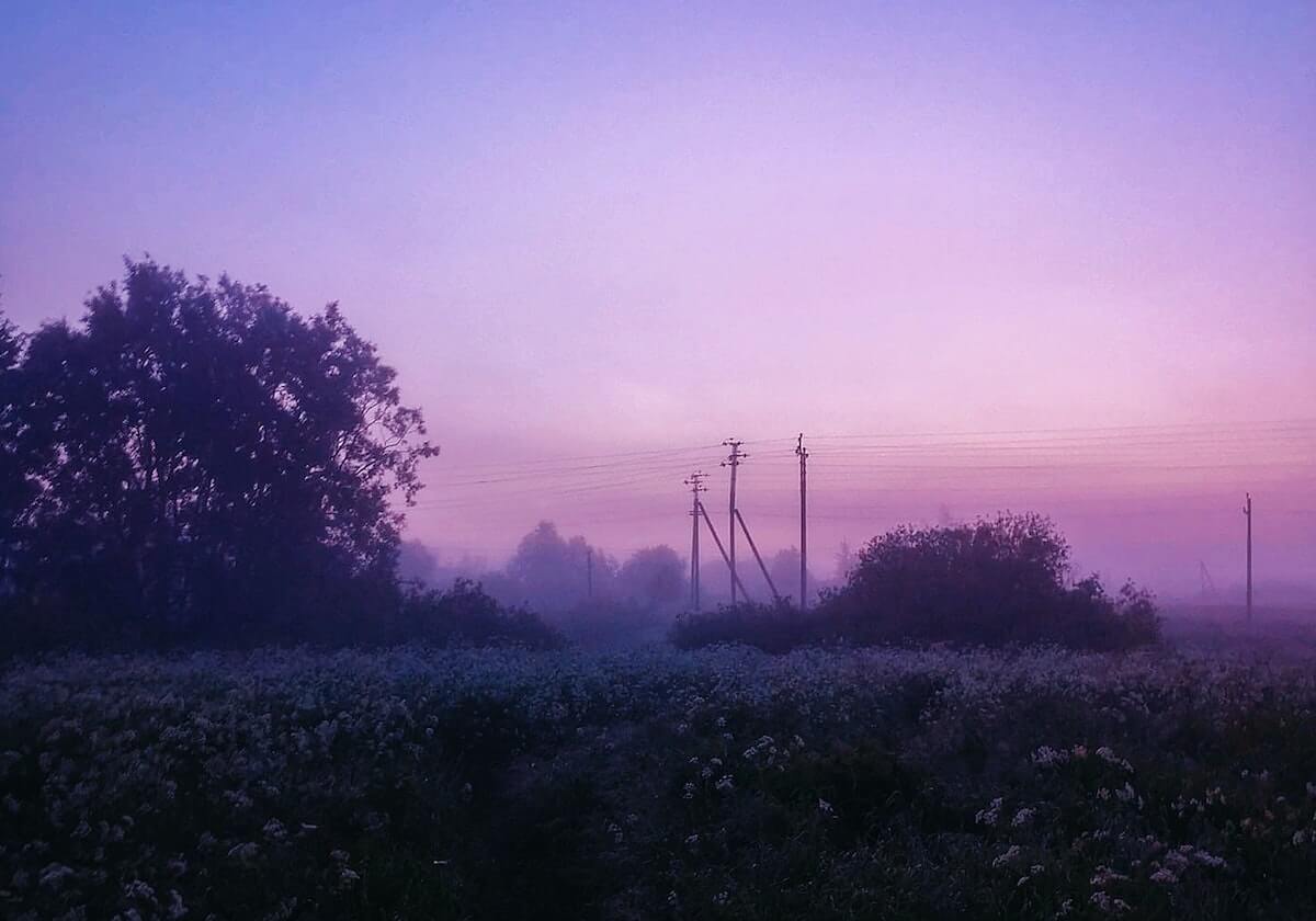 探花视频app搞笑故事