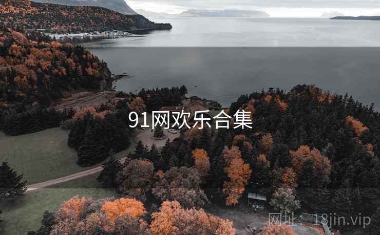 91网欢乐合集
