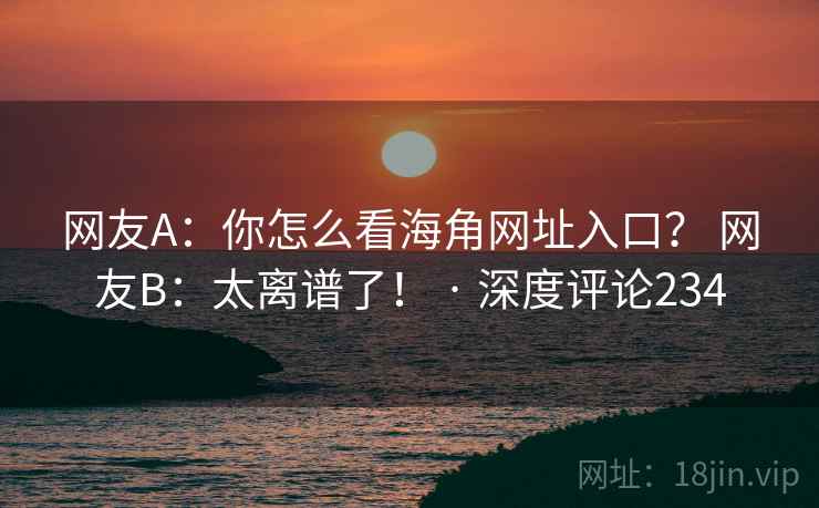 网友A：你怎么看海角网址入口？ 网友B：太离谱了！ · 深度评论234