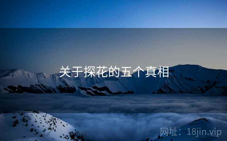 关于探花的五个真相