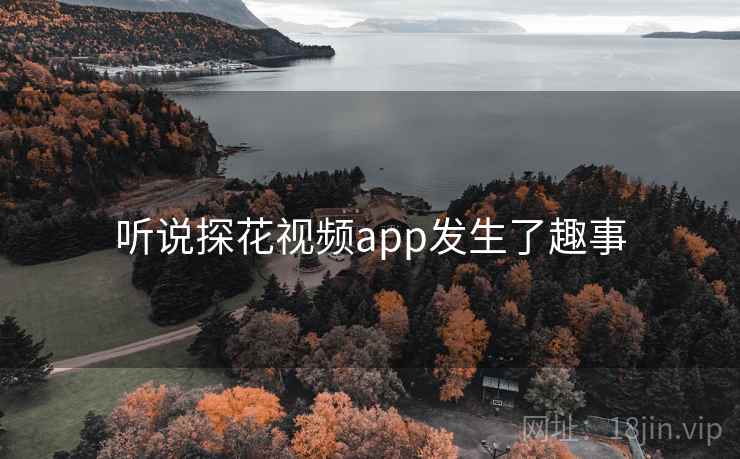 听说探花视频app发生了趣事